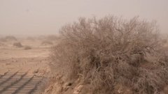 <b>石油辽河油田分公司辽河油田扶植无限公司手艺</b>